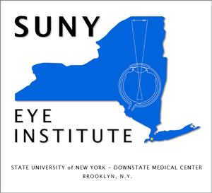 eye institute logo