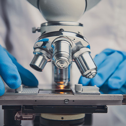 Medical Laboratory Services