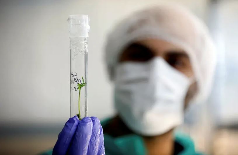 photo of test tube and masked lab worker