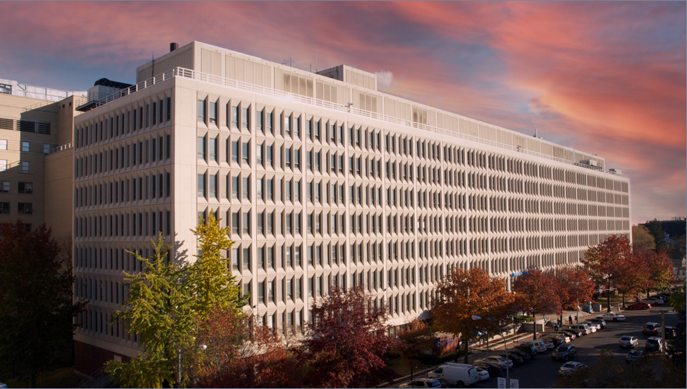 university hospital of brooklyn