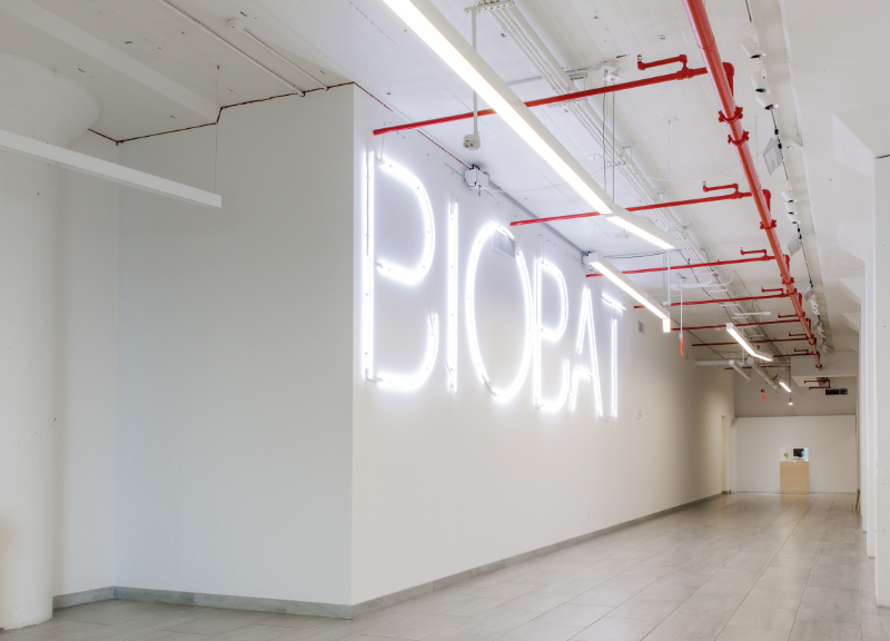 photo of BioBAT lobby