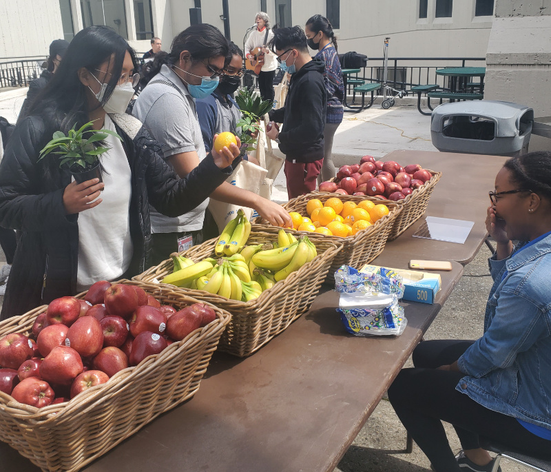 Earth Day Fair - veggies