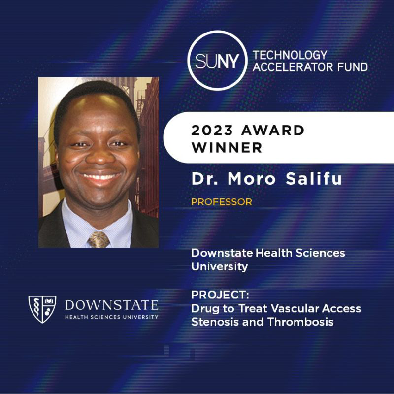 Salifu Research Award