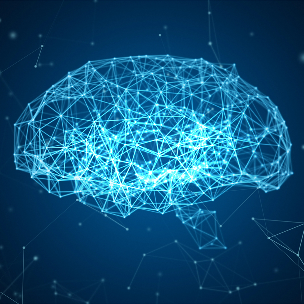 Brain