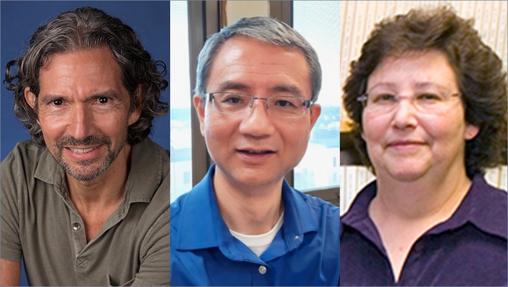 Lupus Research—Linking Clinical Care and Scientific Study