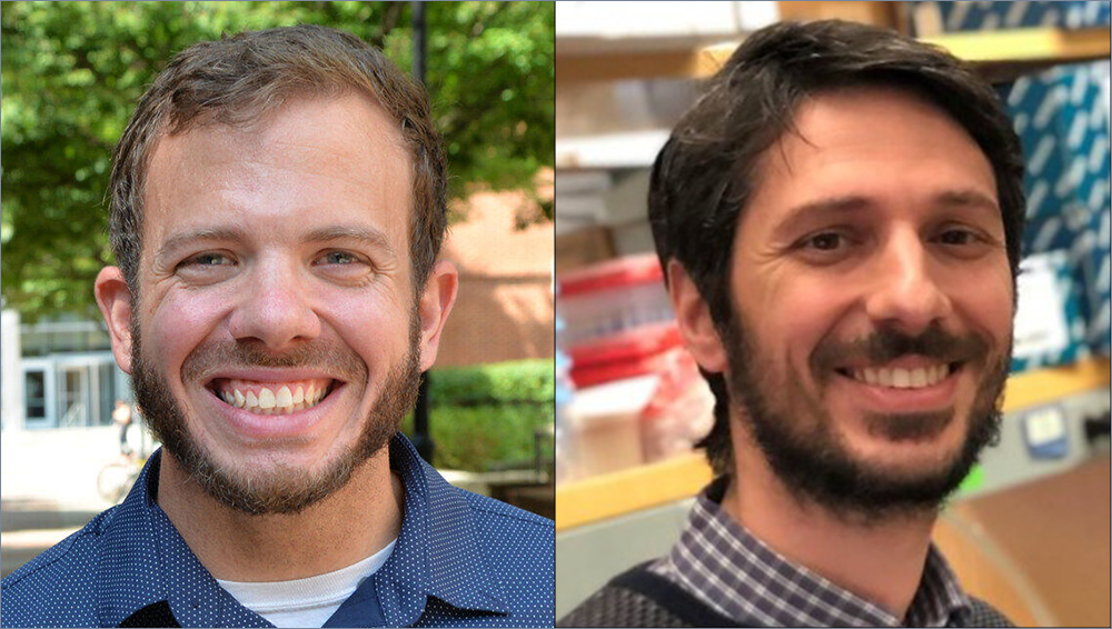 Downstate Researchers Contribute to Major Global Study on Addiction Risk