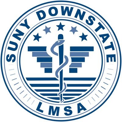 LMSA Downstate logo