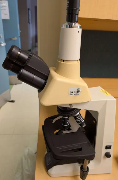 Microscope