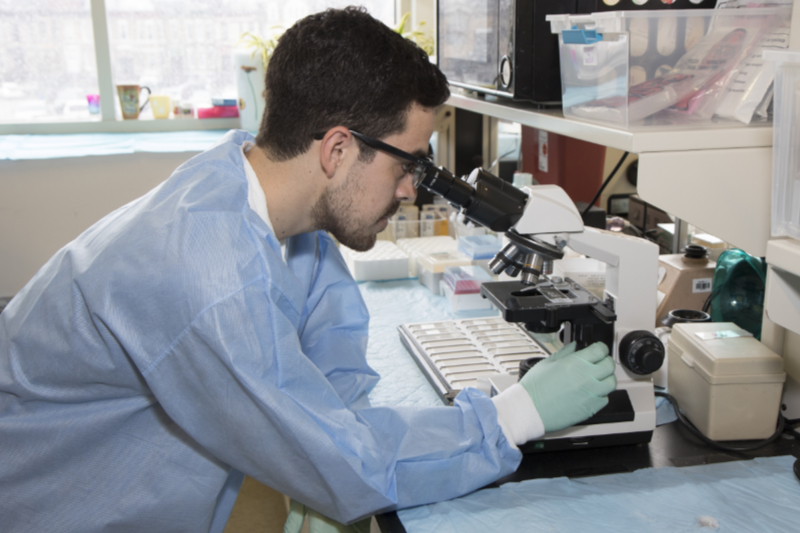 man sitting at microscope