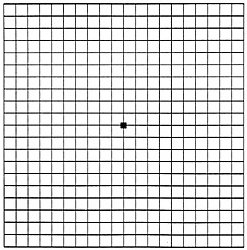 Amsler grid