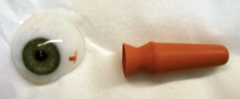 artificial eye and applicator