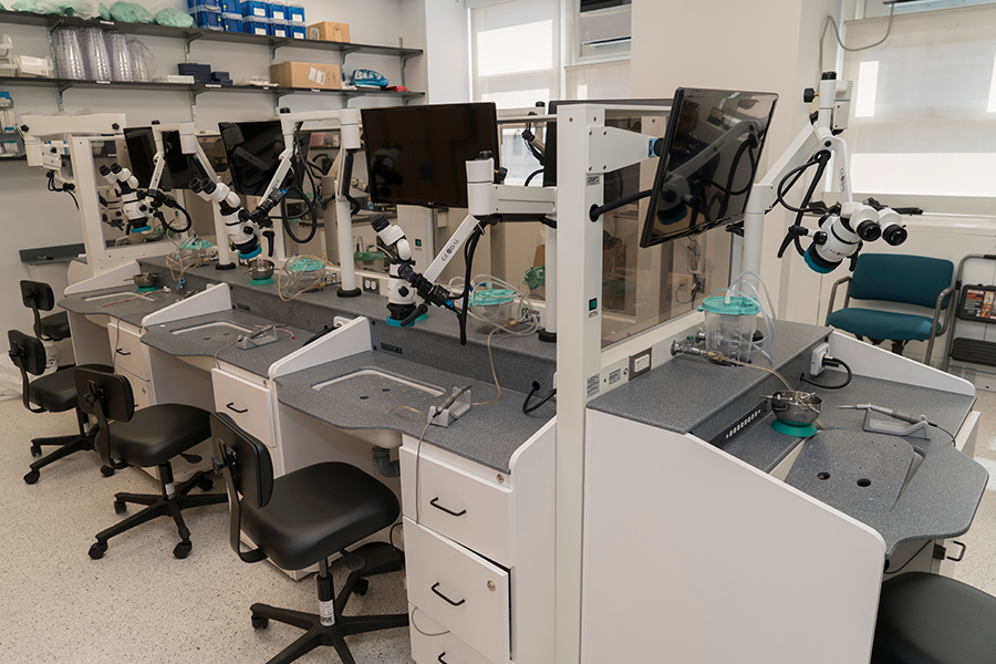 Temporal Bone Surgical Dissection Laboratory photo
