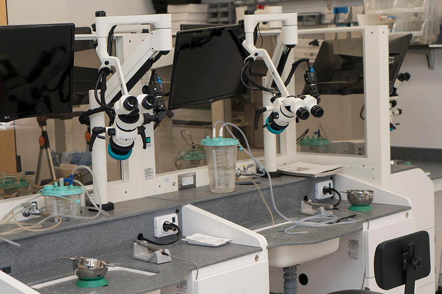 Temporal Bone Surgical Dissection Laboratory photo