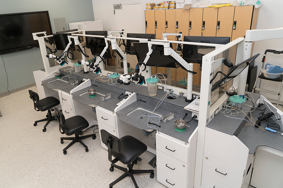 Temporal Bone Surgical Dissection Laboratory photo