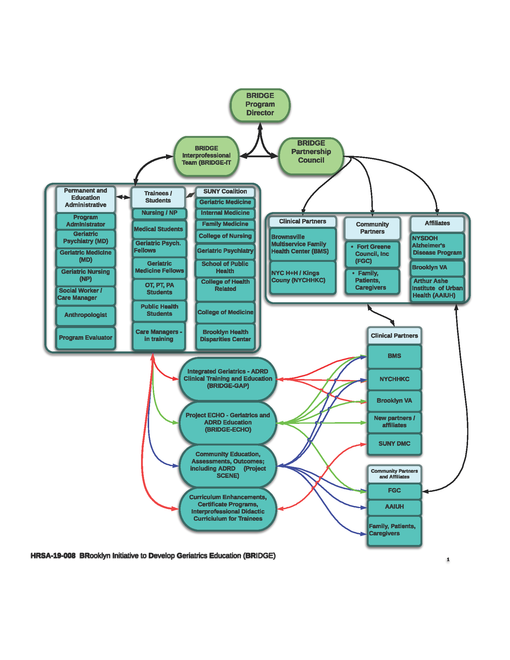 BRIDGE Project Organizational Chart