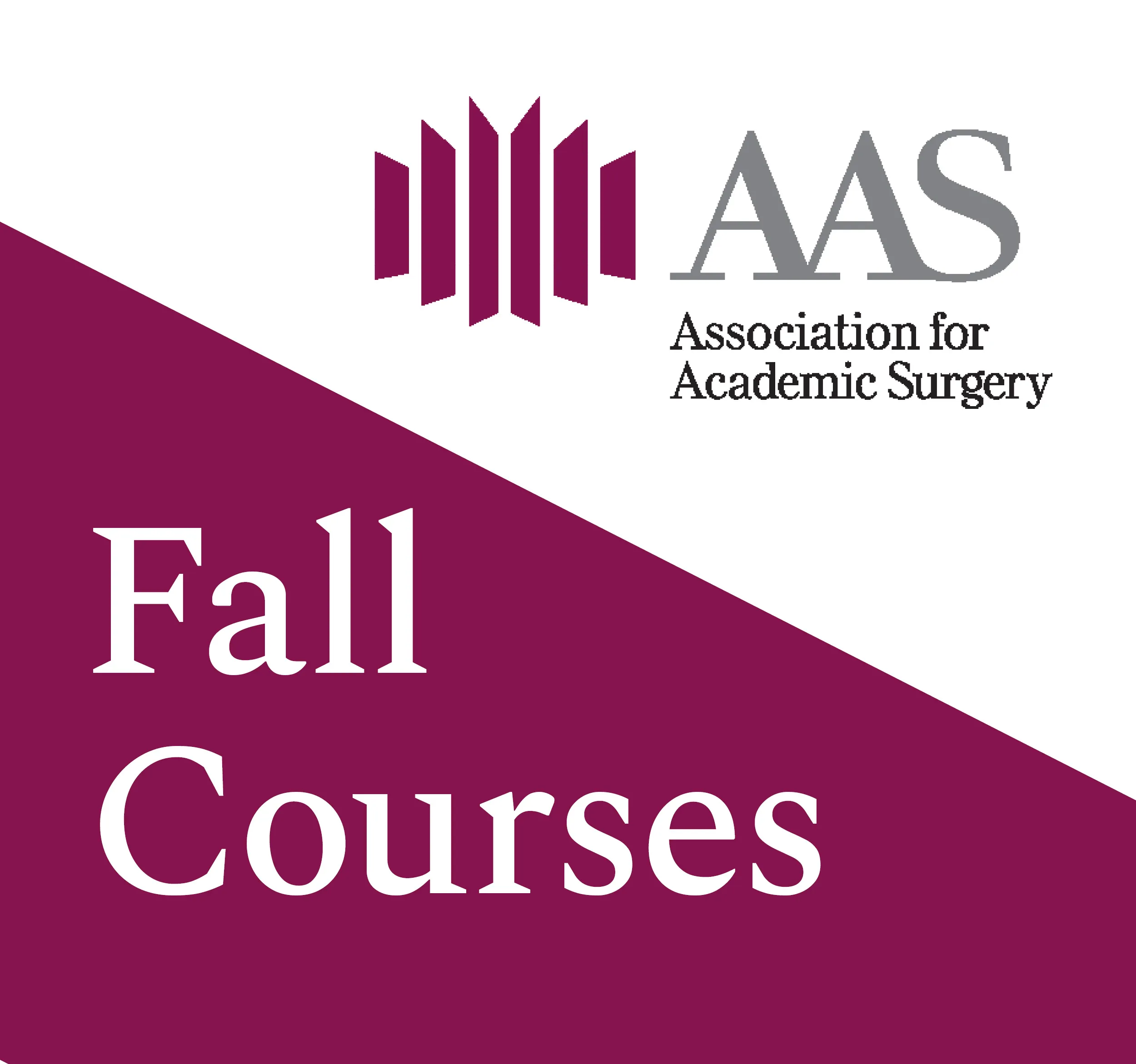 AAS Fall Courses