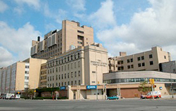 Brookdale Hospital Medical Center