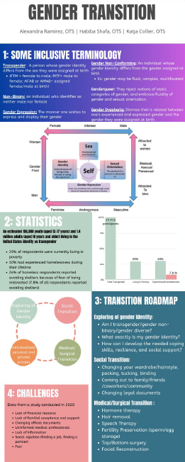 Layperson Infographic