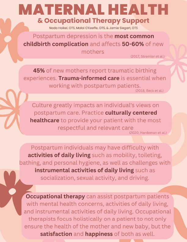 Maternal Health Infographic for Healthcare Provider