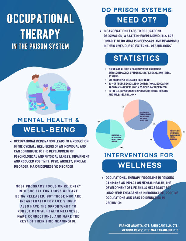 Prison Layperson Infographic