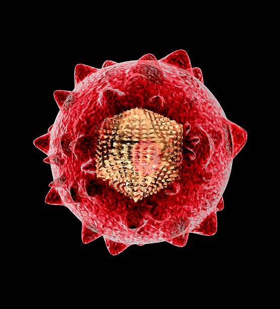 Hepatitis C Virus