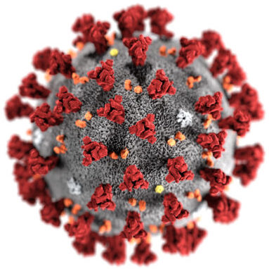 Image of the coronavirus