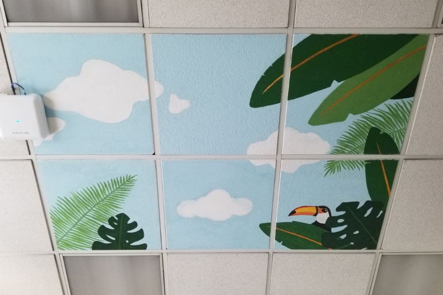 photo of ceiling tiles