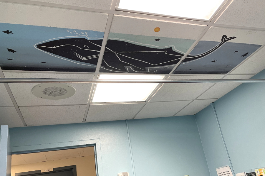 photo of ceiling tiles
