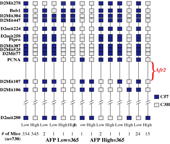 Genetic Mapping of the Afr2 gene locus