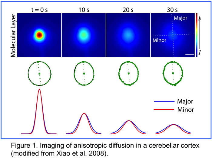 Imaging of anisotropic diffusion