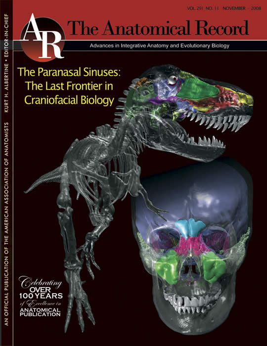 November 2008 Anatomical Record Cover