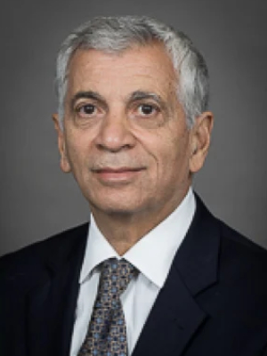 Photo of Gady Har-El
