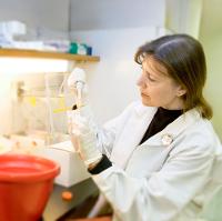 Research Photo