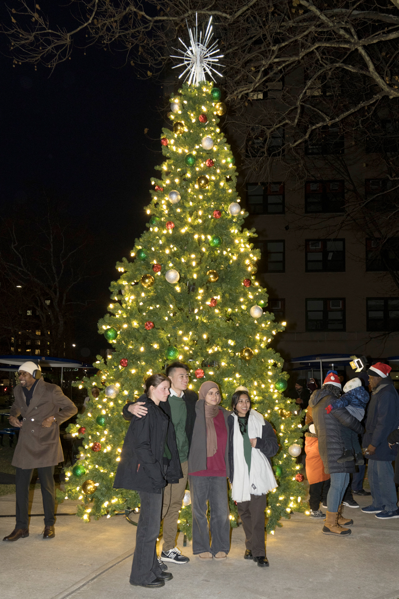Christmas Tree Lighting
