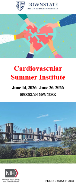 Cardiovascular Summer Institute