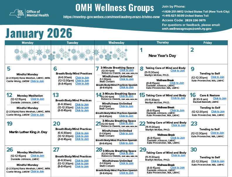 OMH Wellness Groups