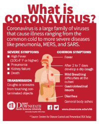 What is Coronavirus  - English