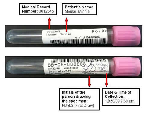 tube label sample