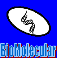 BioMolecular Inc