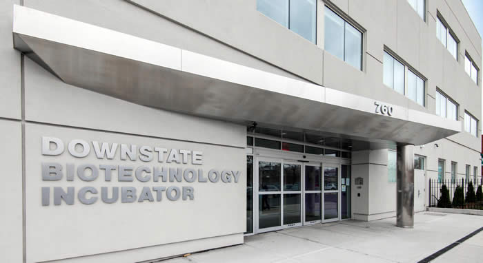 Downstate's Biotechnology Incubator