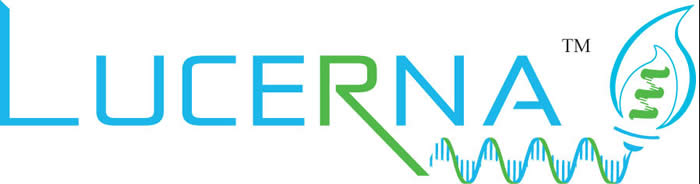 Lucerna Logo