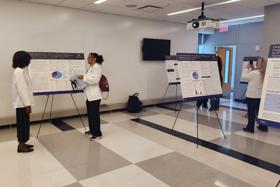 SPRINTER Presentations